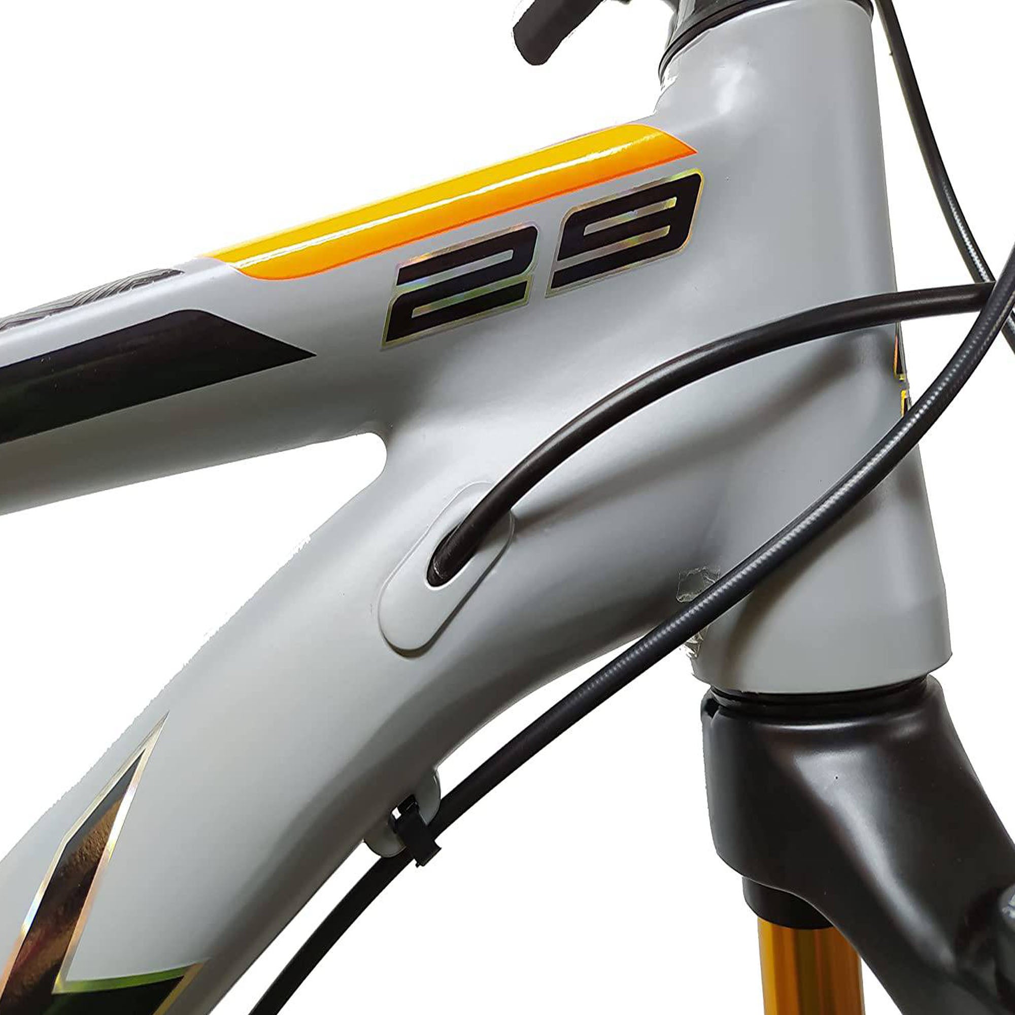 Adult Bicycle 29 Inch Formula - DerakBikes