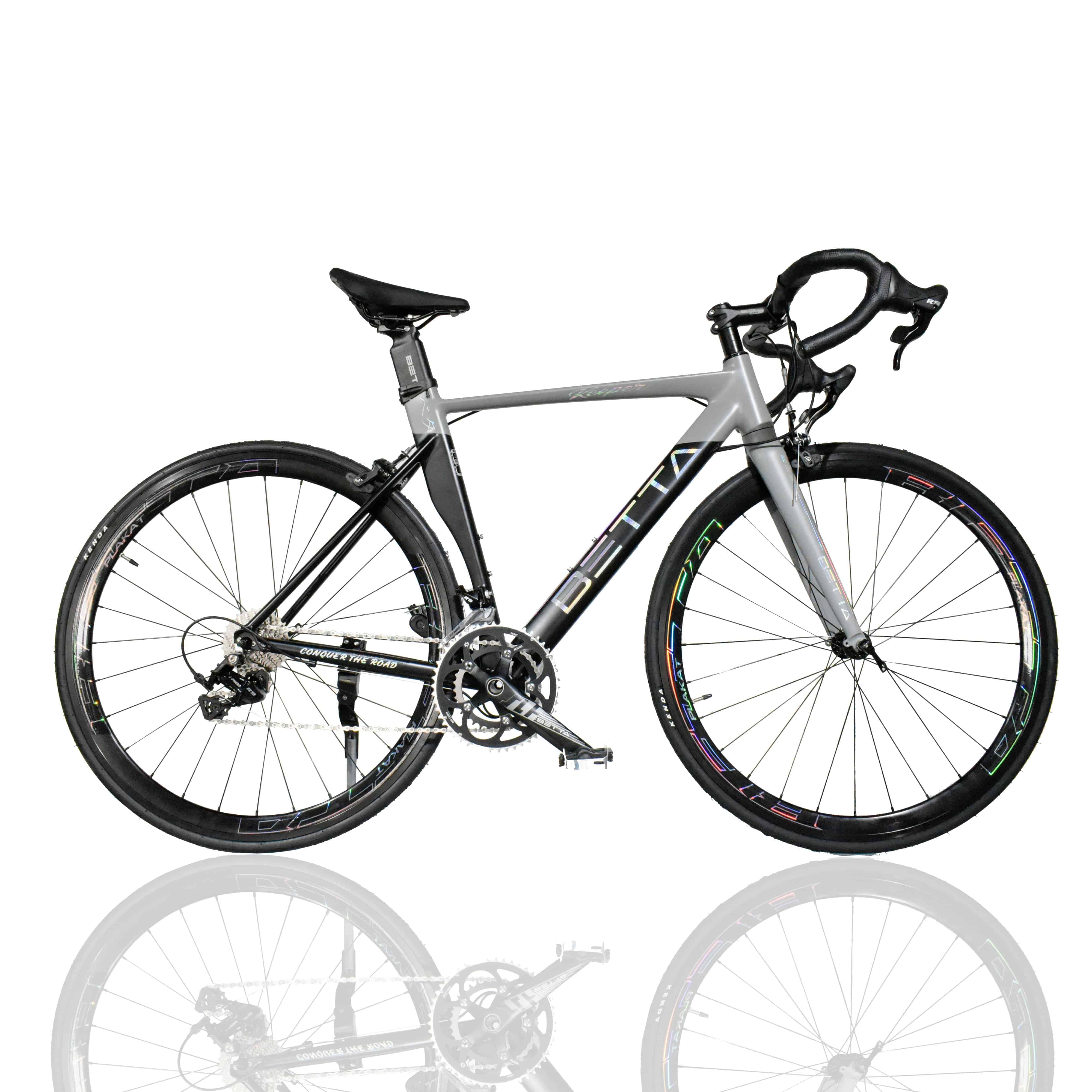 Road Bike BETTA 52C Plakat 22Sp Alloy B/G - DerakBikes
