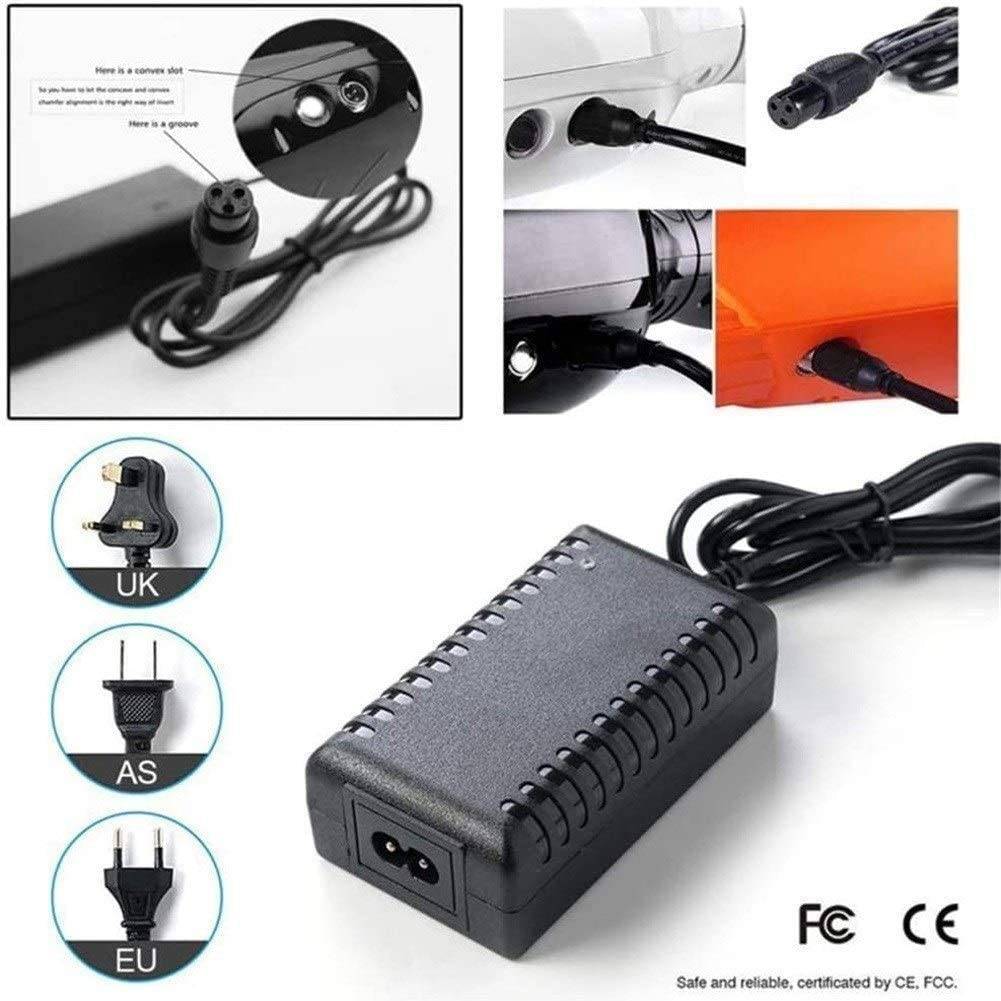 LQH -42V 2A Power AC Adapter Lithium Battery Charger Accessory Electric Scooters for Self Balance Scooter/Two Wheel Smart Hoverboard - DERAKBIKES